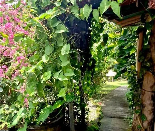Bed & Breakfast The Hidden Gem Of Jembrana Bali *
