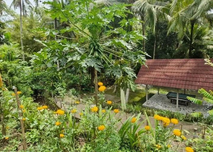 The Hidden Gem Of Jembrana Bali Negara (Bali)