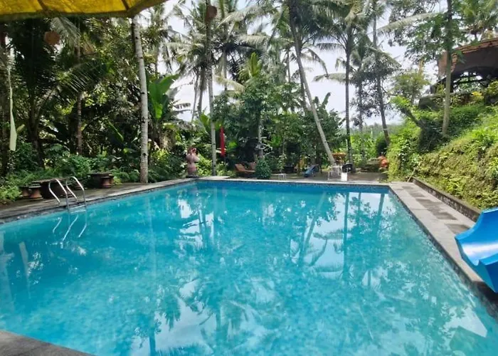 The Hidden Gem Of Jembrana Bali Bed & Breakfast *