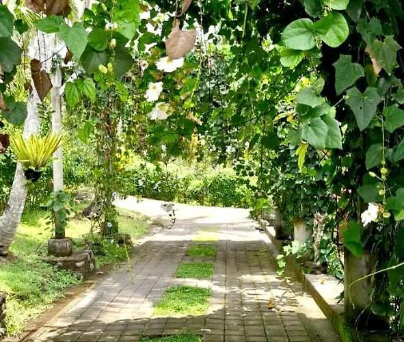 Bed & Breakfast The Hidden Gem Of Jembrana Bali Negara (Bali)