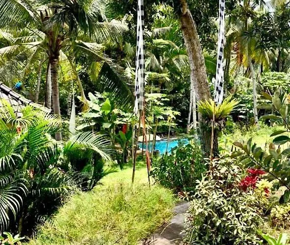 The Hidden Gem Of Jembrana Bali Bed & Breakfast *