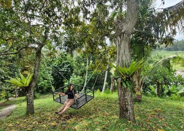 The Hidden Gem Of Jembrana Bali * Negara (Bali)