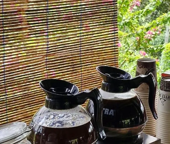 The Hidden Gem Of Jembrana Bali Bed & Breakfast *